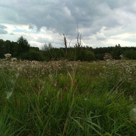 Chamedafne W Puszczy Kampinoskiej Brochów Exteriér fotografie