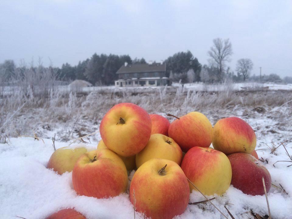 Chamedafne W Puszczy Kampinoskiej Brochów Exteriér fotografie