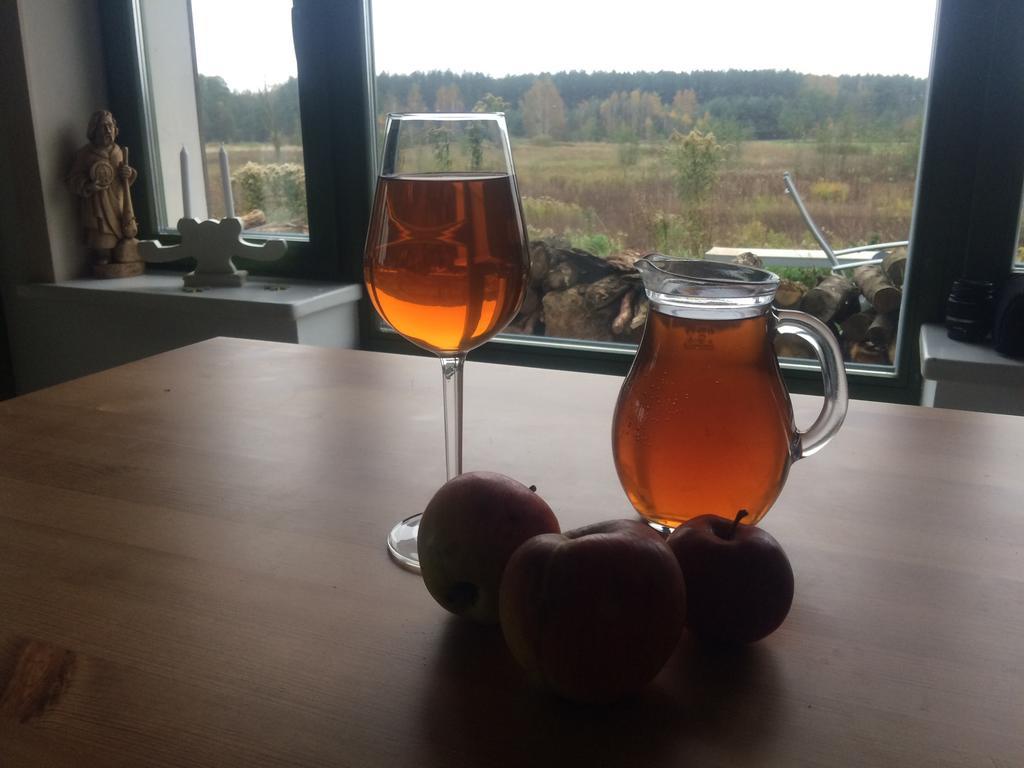 Chamedafne W Puszczy Kampinoskiej Brochów Exteriér fotografie