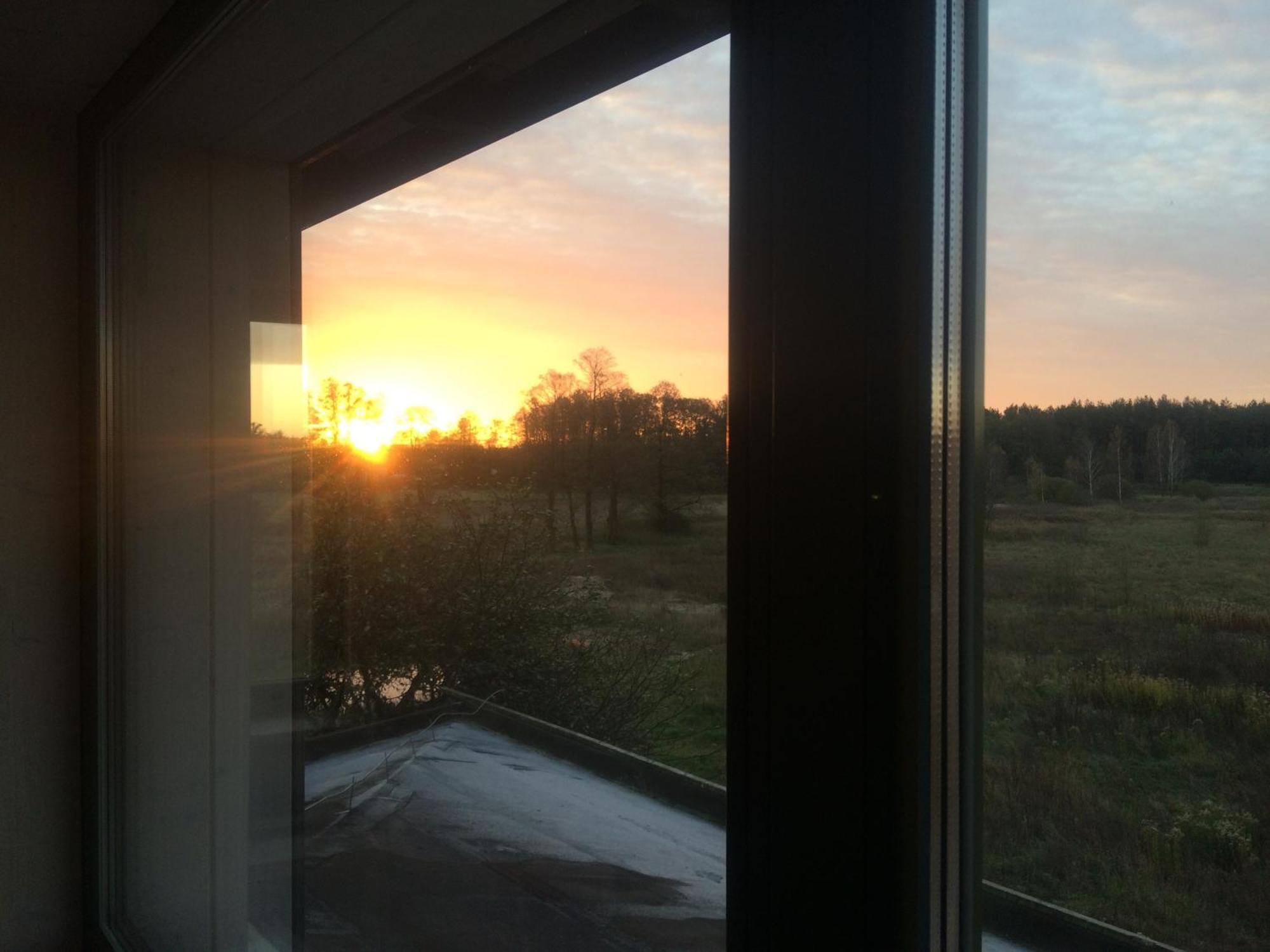 Chamedafne W Puszczy Kampinoskiej Brochów Exteriér fotografie