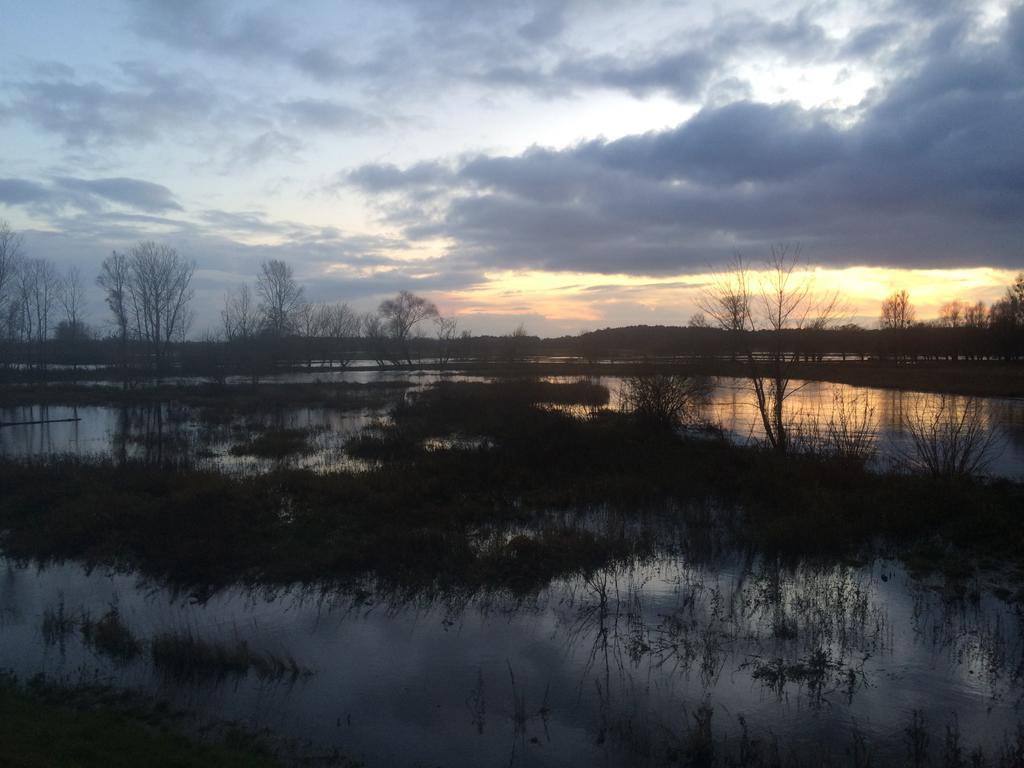 Chamedafne W Puszczy Kampinoskiej Brochów Exteriér fotografie