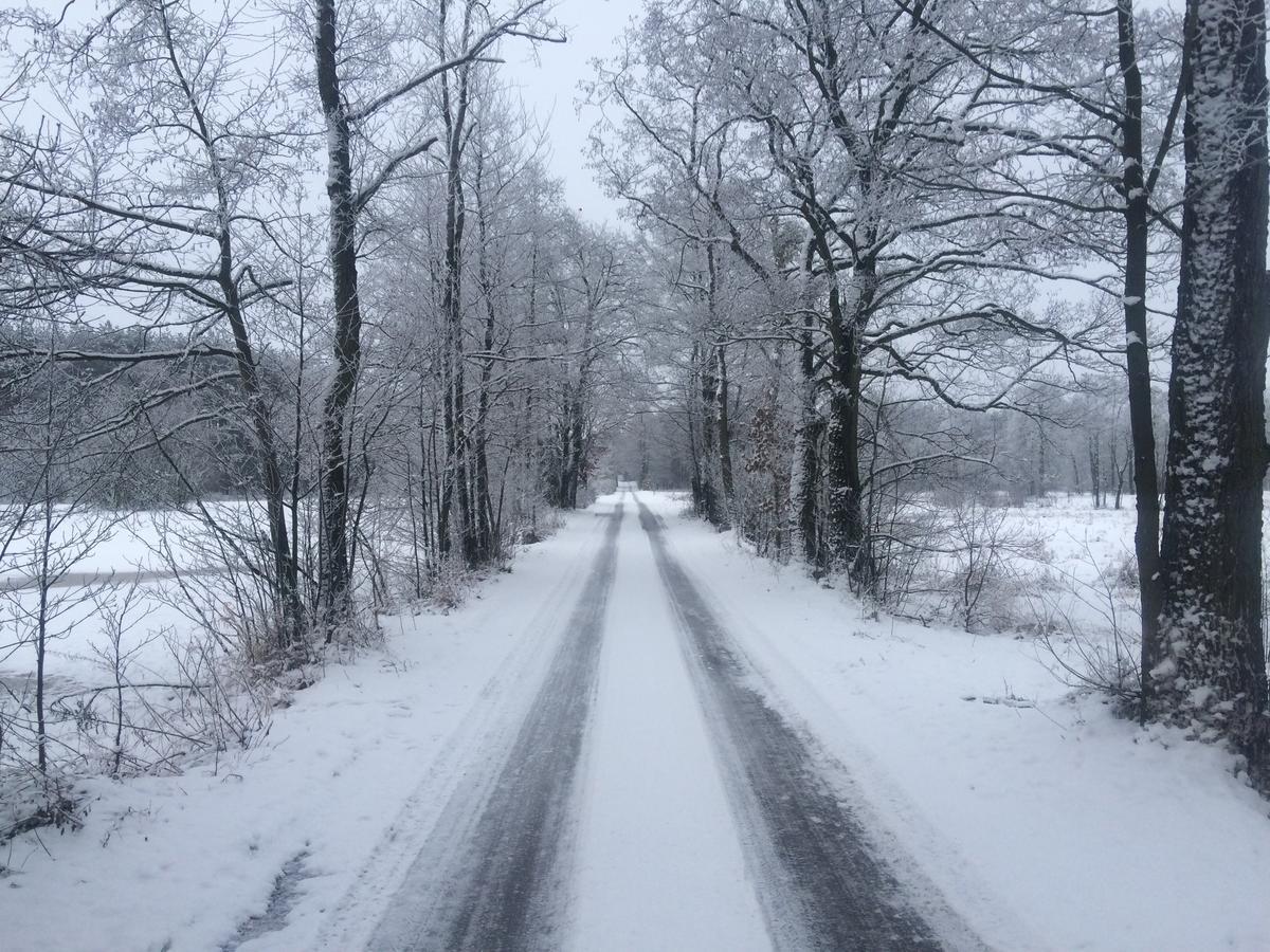 Chamedafne W Puszczy Kampinoskiej Brochów Exteriér fotografie