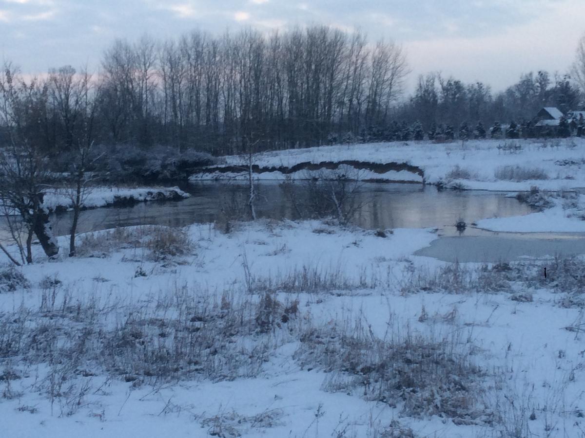Chamedafne W Puszczy Kampinoskiej Brochów Exteriér fotografie