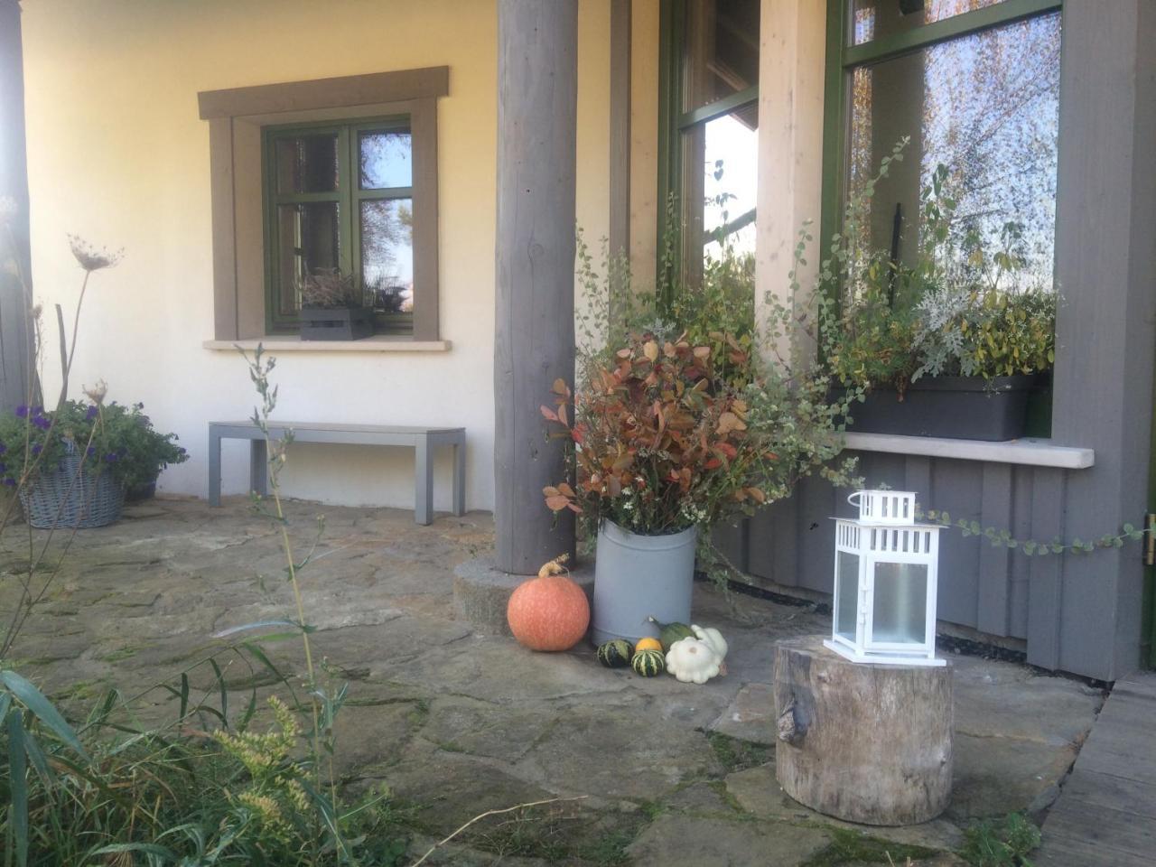 Chamedafne W Puszczy Kampinoskiej Brochów Exteriér fotografie
