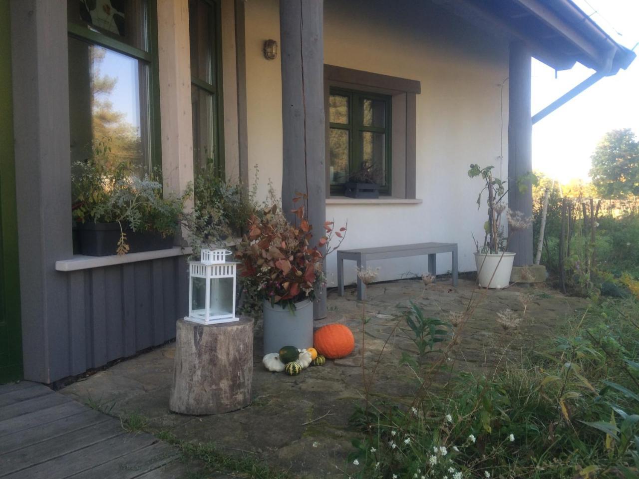 Chamedafne W Puszczy Kampinoskiej Brochów Exteriér fotografie