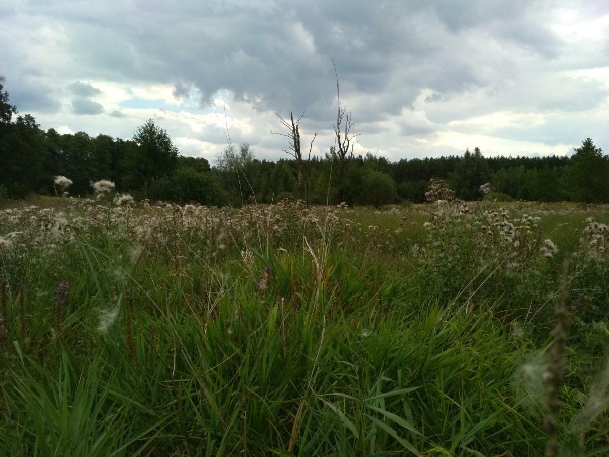 Chamedafne W Puszczy Kampinoskiej Brochów Exteriér fotografie
