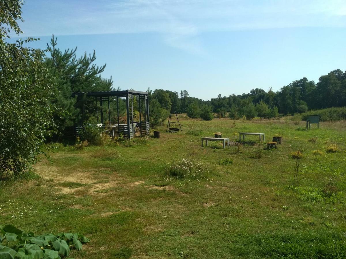 Chamedafne W Puszczy Kampinoskiej Brochów Exteriér fotografie