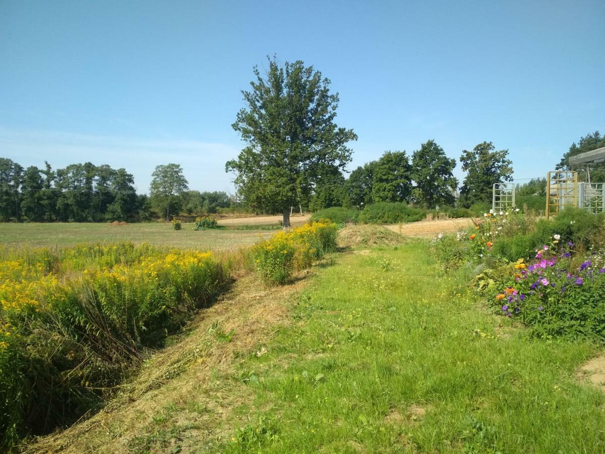 Chamedafne W Puszczy Kampinoskiej Brochów Exteriér fotografie