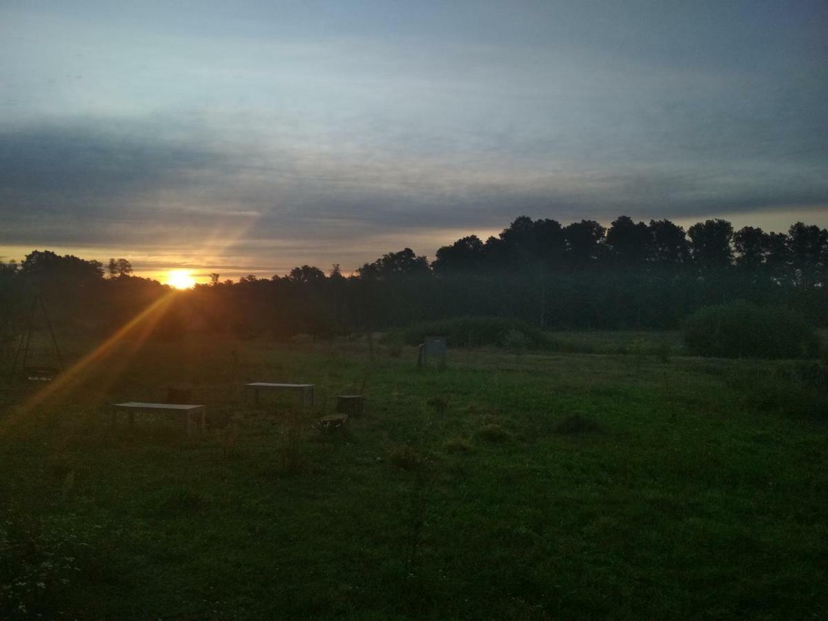Chamedafne W Puszczy Kampinoskiej Brochów Exteriér fotografie